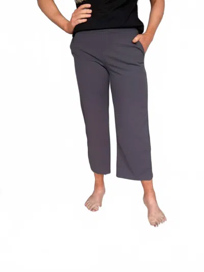 Heimish Usa Lucy Wide Leg Stretchy Crop Pants In Charcoal In Blue