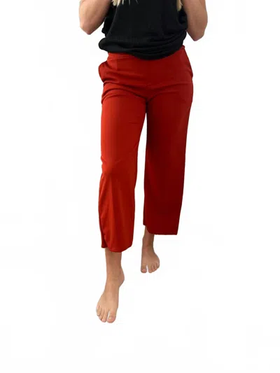 Heimish Usa Lucy Wide Leg Stretchy Crop Pants In Rust In Multi