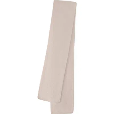 Helen Kaminski Agnes Cashmere Scarf In Brown
