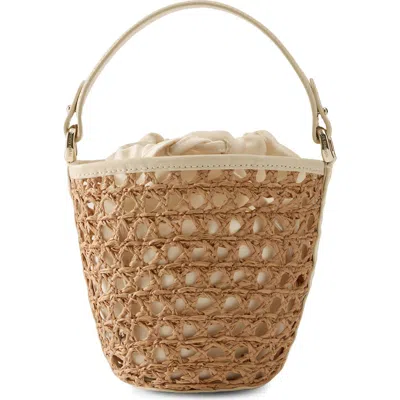 Helen Kaminski Ama Braided Raffia Bucket Bag In Brown