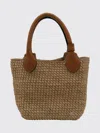 Helen Kaminski Beige Raffia Satchel In Brown