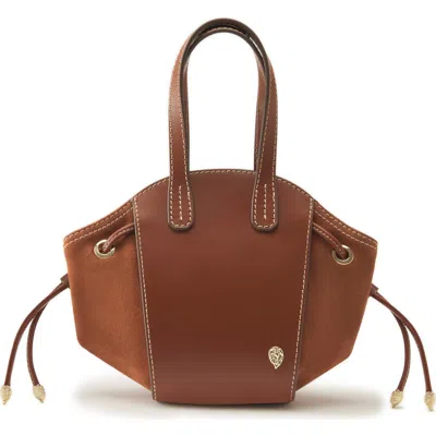 Helen Kaminski Piaf Leather & Suede Mini Tote Bag In Brown