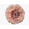 Helena Simon The Cherry Blossom Floral Brooch In Pink