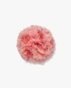 Helena Simon The Light Pink Carnation Floral Brooch In Pink