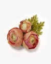 Helena Simon The Ranunculus Floral Brooch In Multi