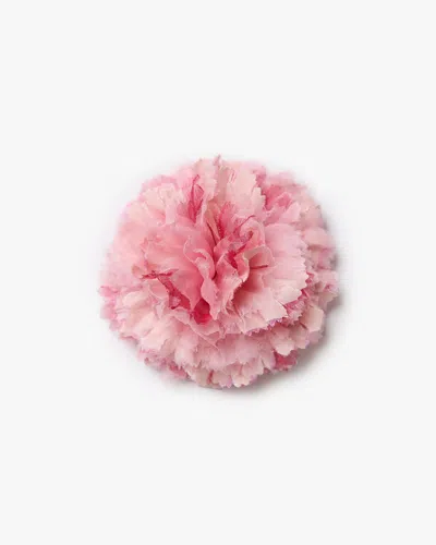 Helena Simon Women's The Light Pink Carnation Floral Brooch