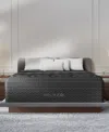 Helix Brooklyn Bedding  Sunset Elite 15" Soft Euro Pillow Top Mattress In A Box In Transparent