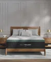Helix Brooklyn Bedding  Twilight Luxe 13.5" Firm Euro Pillow Top Mattress In A Box In Transparent