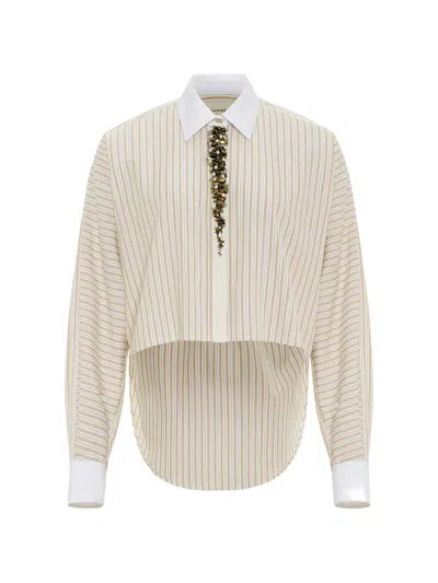 Hellessy Embellished Striped Shirt In Neutral