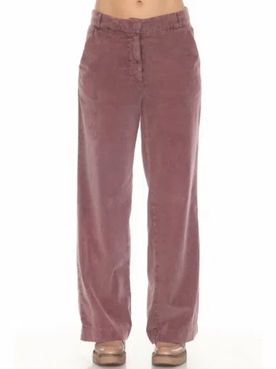 Hello Nite Cotton Baby Cord Theo Chino Trouser In Pinot Noir In Multi