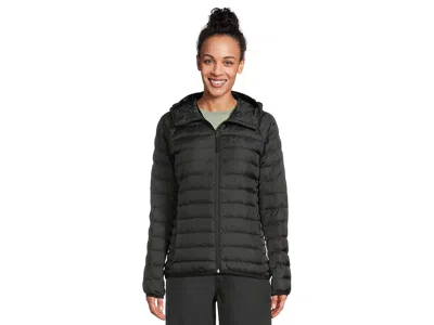 Helly Hansen Banff Hooded Insulator In Metallic