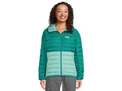 Helly Hansen Banff Hooded Insulator In Brown