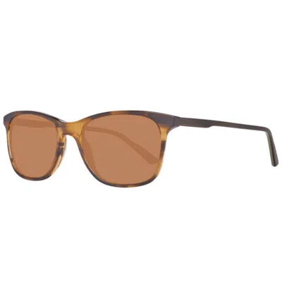 Helly Hansen Ladies' Sunglasses  Hh5007-c02-52 Gbby2 In Brown
