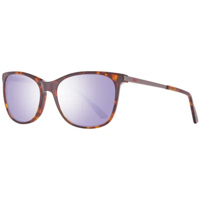 Helly Hansen Ladies' Sunglasses  Hh5021-c01-55 Gbby2 In Purple