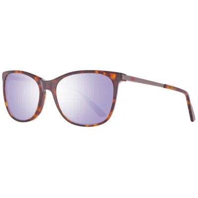 Helly Hansen Metal And Plastic Women's Sunglasses In Brown