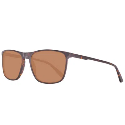 Helly Hansen Men's Sunglasses  Hh5004-c01-57  57 Mm Gbby2 In Brown