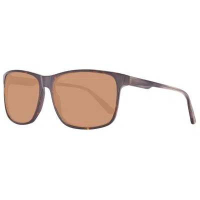 Helly Hansen Plastic Men's Sunglasses In Brown