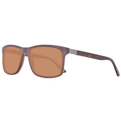 Helly Hansen Plastic Men's Sunglasses In Brown