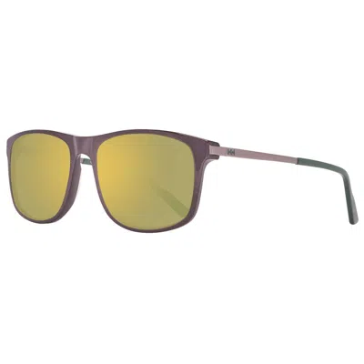 Helly Hansen Plastic Men's Sunglasses In Brown