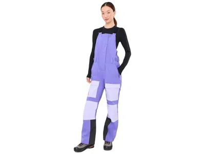 Helly Hansen Switch Cargo Bib Pants Women's Clothing Ultra Violet: Lg 31.5, Synthetic In Purple