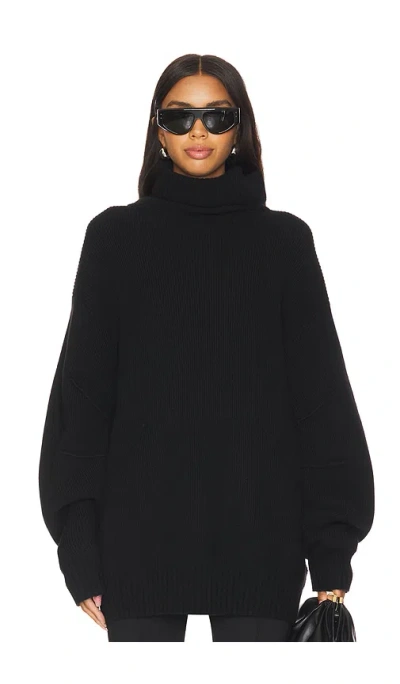 Helmut Lang Apex Chunky Turtleneck In Black