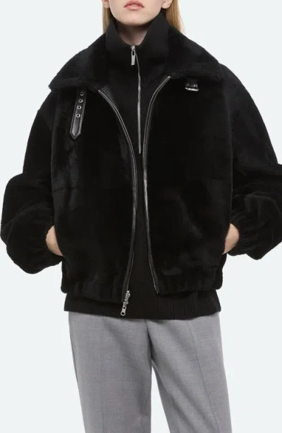 Helmut Lang Genuine Shearling Bomber Jacket In Black
