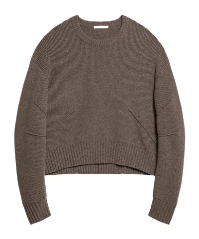 Helmut Lang Long-sleeved Wool Sweater In Brown