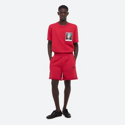 Helmut Lang Postcard Shorts In Bordeaux