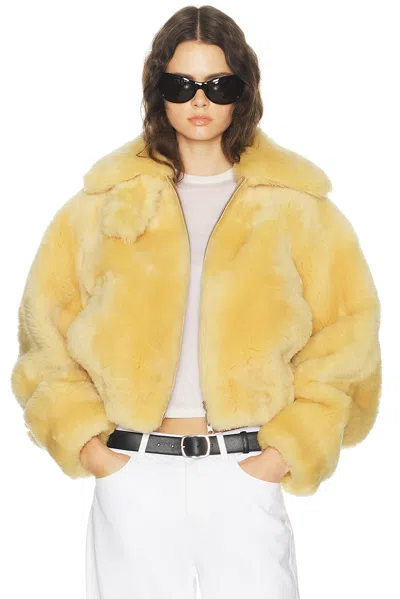 Helmut Lang Shearling Bomber Jacket In Yellow
