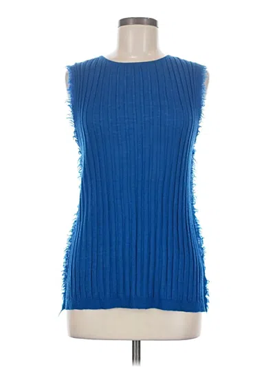 Pre-owned Helmut Lang Sweater Vest In Blue