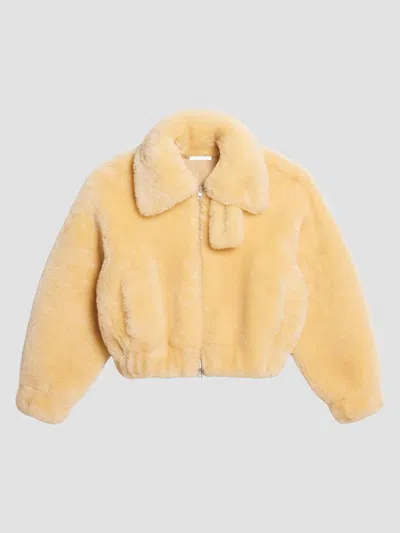 Helmut Lang Women's Shearling Bomber Jacket In Corn Silk