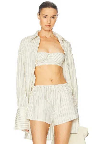 HELSA PINSTRIPE POPLIN BRA