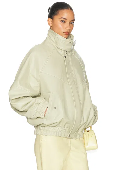 Helsa The Oversized Leather Bomber In Multi