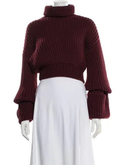Pre-owned Helsa Turtleneck Sweater In Burgundy