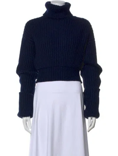 Pre-owned Helsa Wool Turtleneck Sweater In Blue