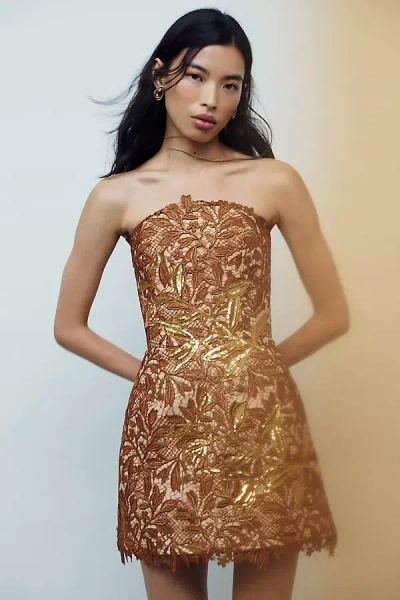 Helsi Cleo Mini Dress In Brown
