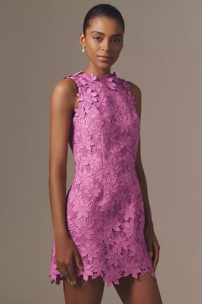 Helsi Rosalie Sleeveless Lace A-line Mini Dress In Pink