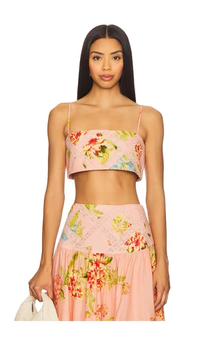Hemant & Nandita Bustier Top