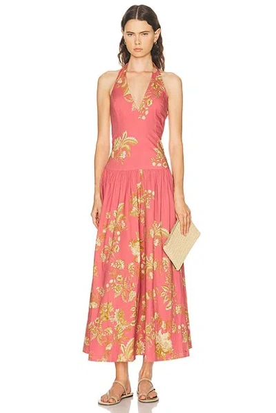 Hemant & Nandita Dani Halter Neck Maxi Dress In Pink