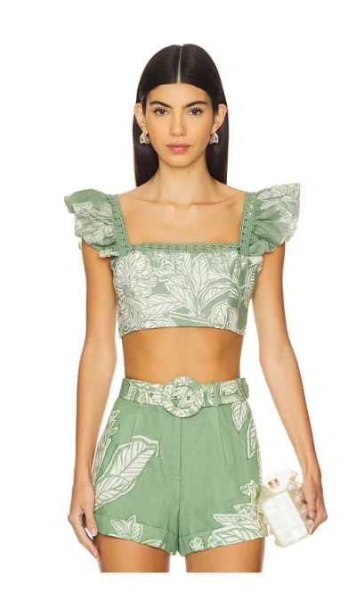 Hemant & Nandita Crop Top In 그린