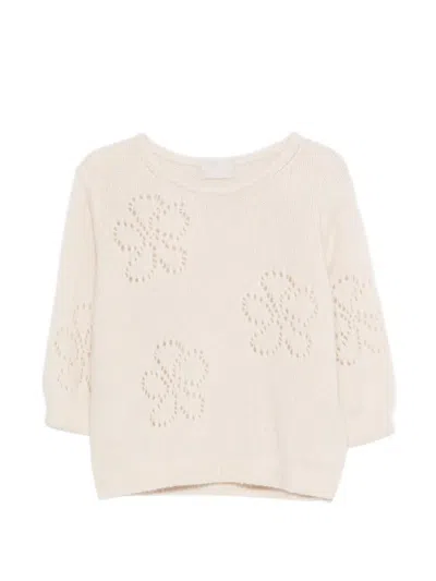 Hemisphere Floral Sweater In Neutral