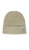 Hemlock Hat Co Vulcan Cable Knit Beanie In Sage