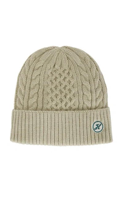 Hemlock Hat Co Vulcan Cable Knit Beanie In Sage