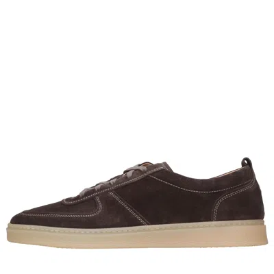 Henderson Sneakers In Brown