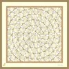 Henelle Women's Death Valley Silk Bandana
