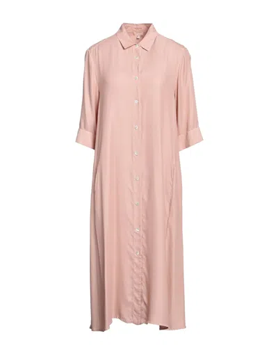Her Shirt Her Dress Midi Dresses In Pink