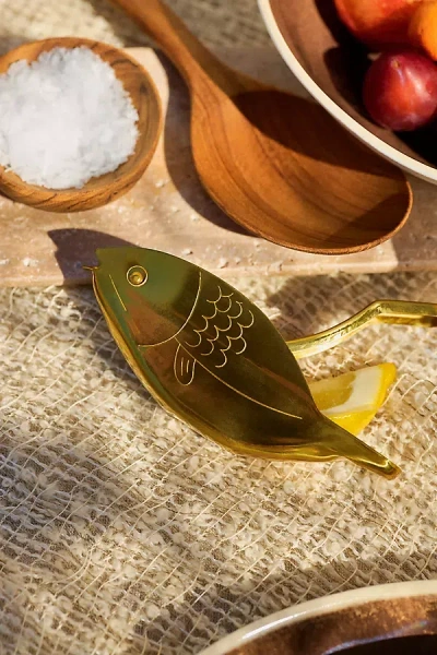 Here's How Stevie Fish Citrus Juicer
