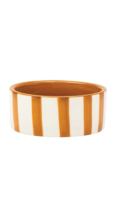 Here's How The Izzy Wine Coaster In Ochre