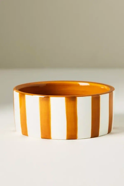 Here's How Wine Coaster In Multi