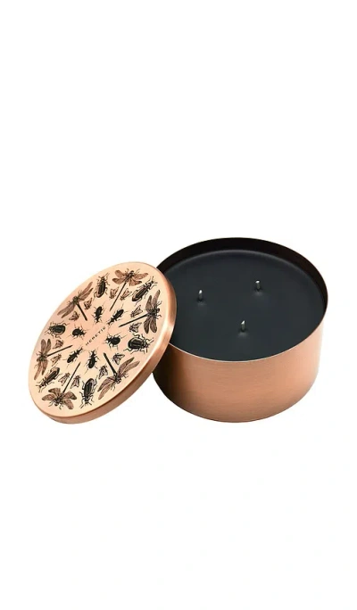 Heretic Parfum The Entomologist Candle In Orange